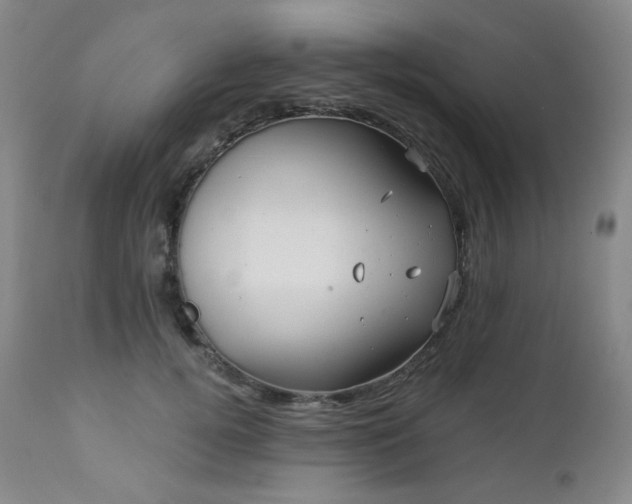X0000113050752200908271530