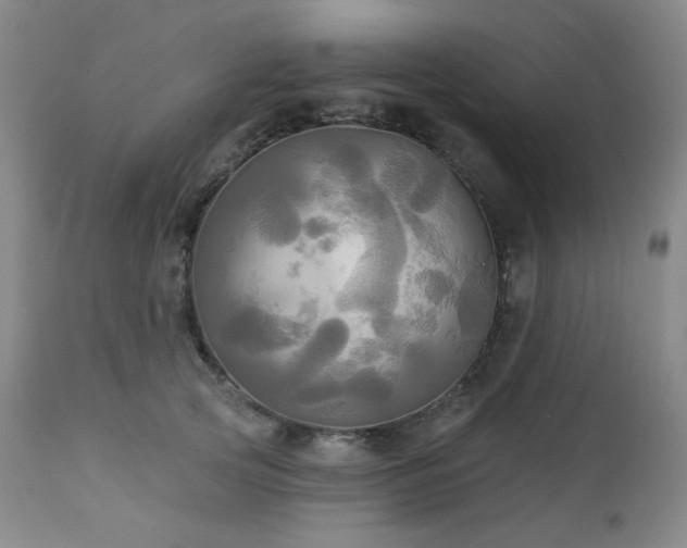 X0000113050753200908271530