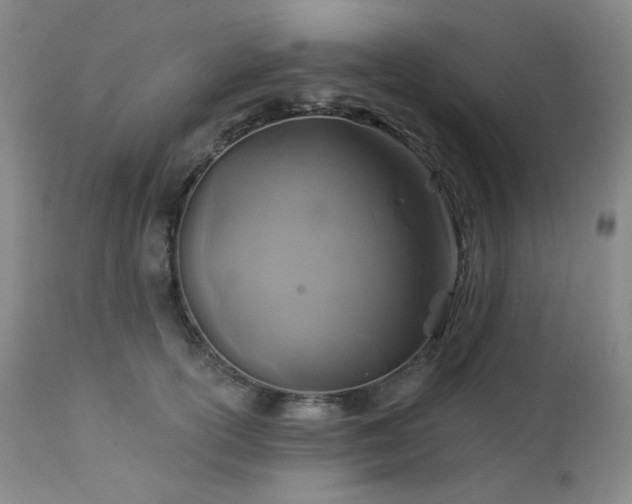 X0000113050754200908271530