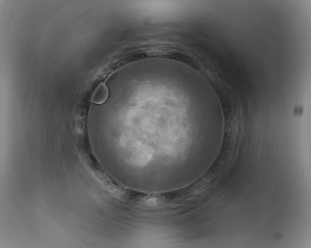 X0000113050755200908271530