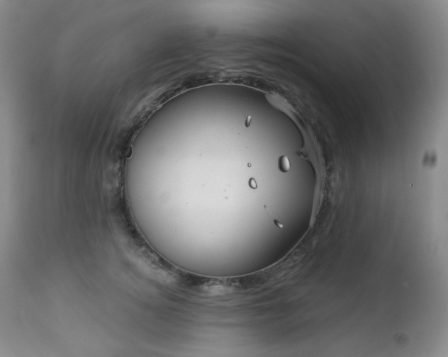 X0000113050756200908271530