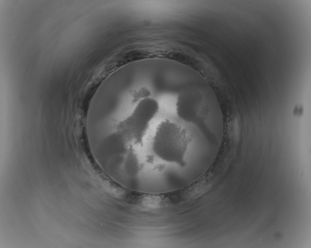 X0000113050757200908271530