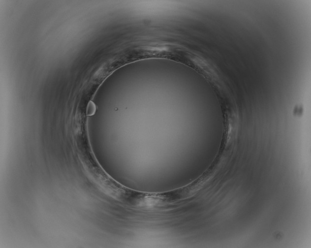 X0000113050758200908271530