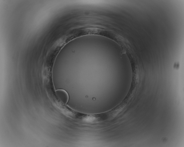 X0000113050759200908271531