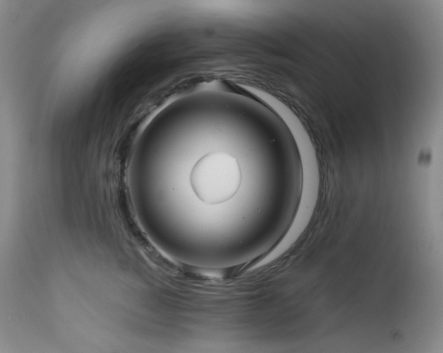 X0000113050760200908271531