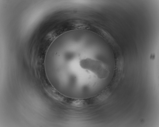 X0000113050761200908271531