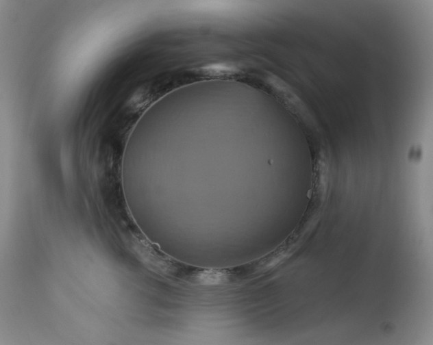 X0000113050762200908271531