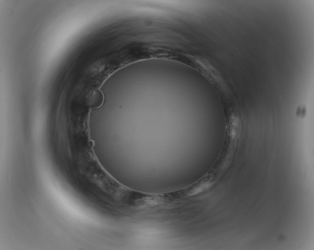 X0000113050763200908271531