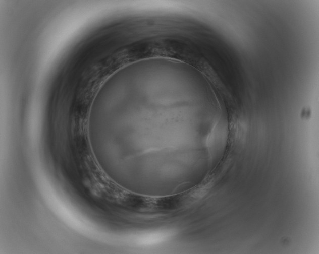 X0000113050765200908271531