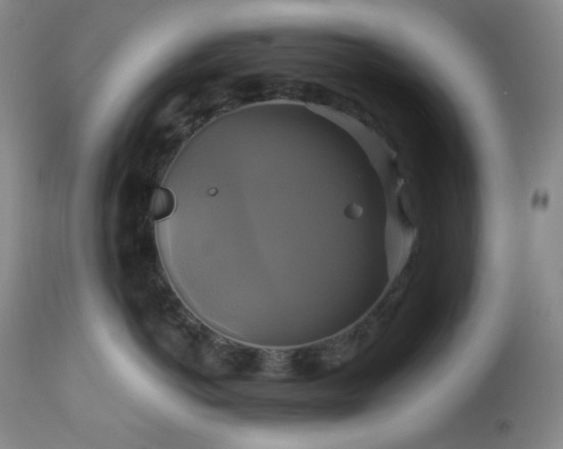 X0000113050766200908271531
