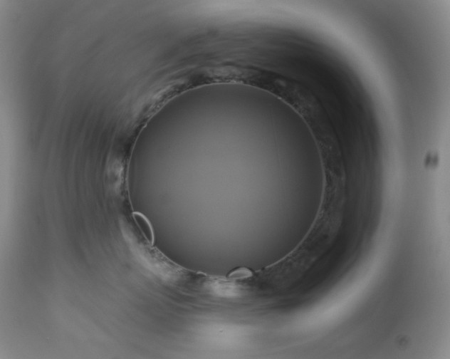 X0000113050767200908271531