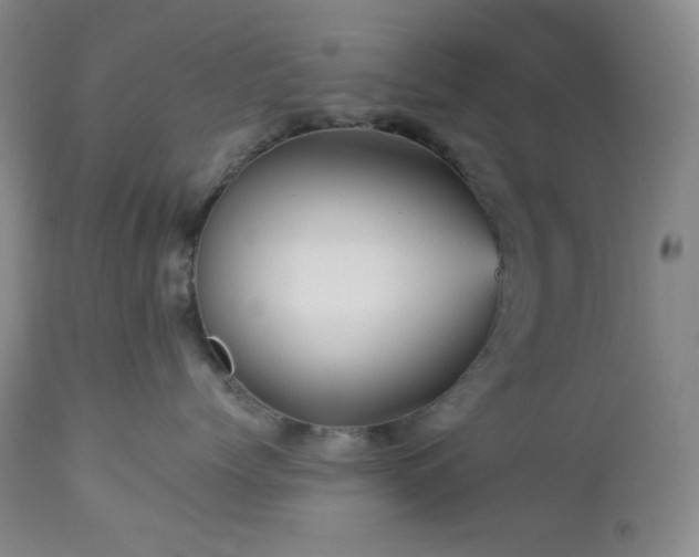 X0000113050768200908271531