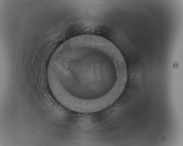 X0000113050769200908271530