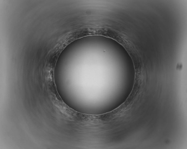 X0000113050770200908271530