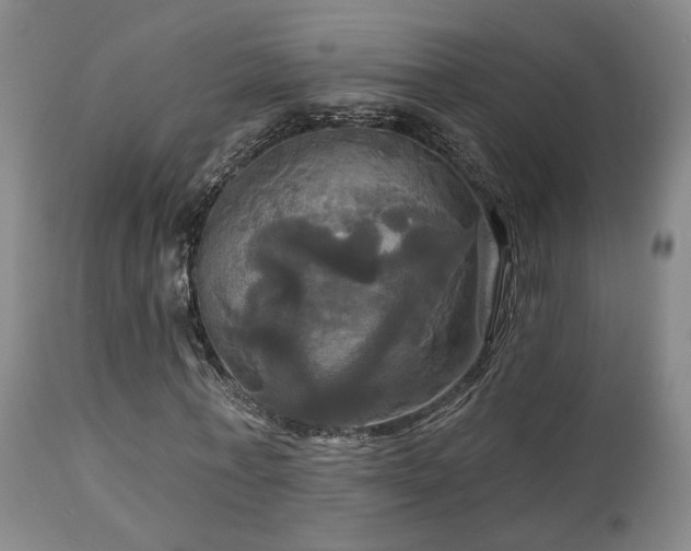 X0000113050771200908271530