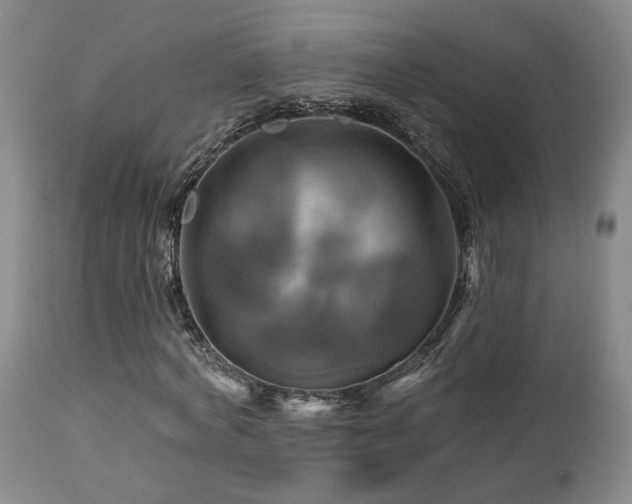 X0000113050772200908271530