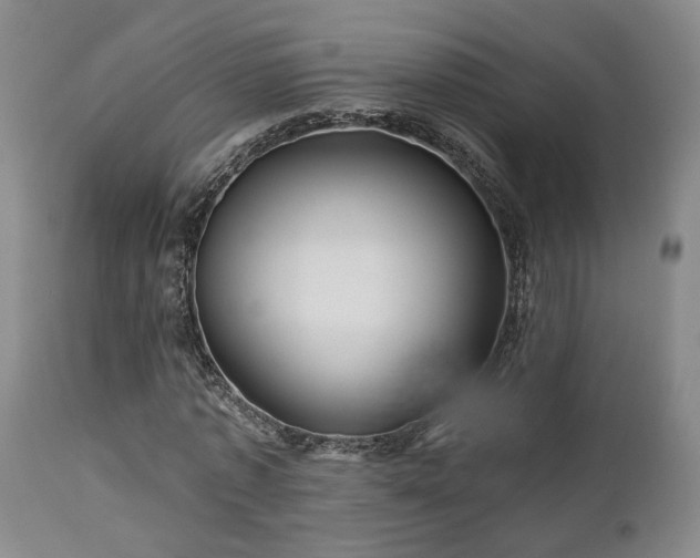 X0000113050773200908271530