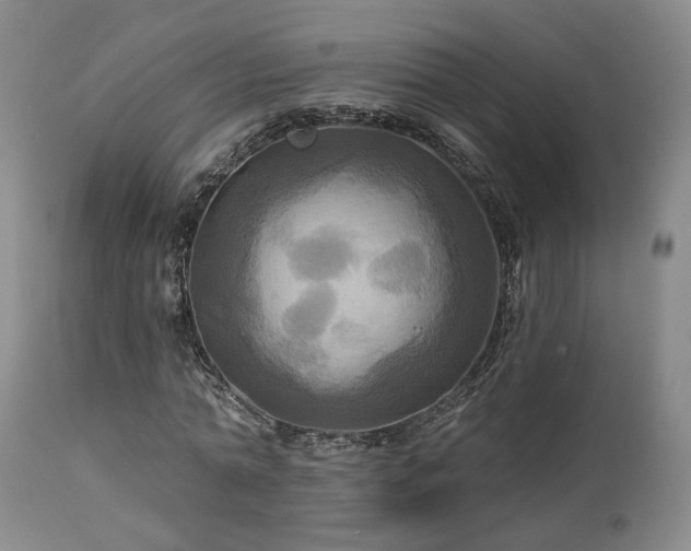 X0000113050774200908271530