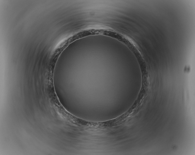 X0000113050775200908271530