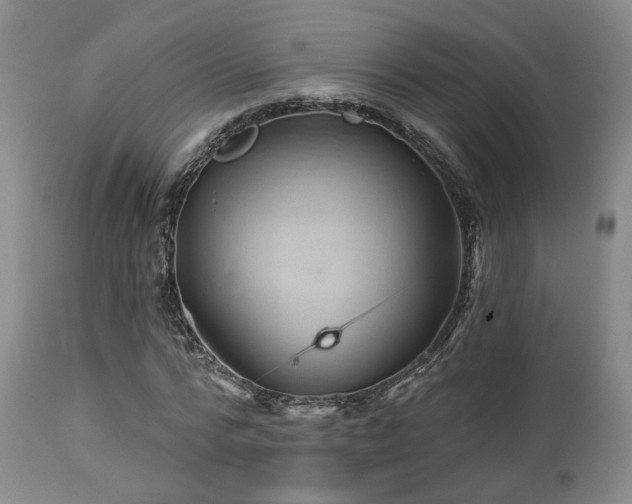 X0000113050776200908271530
