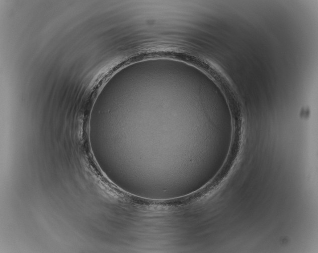 X0000113050777200908271530