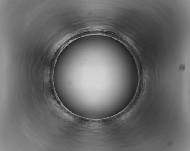 X0000113050778200908271530
