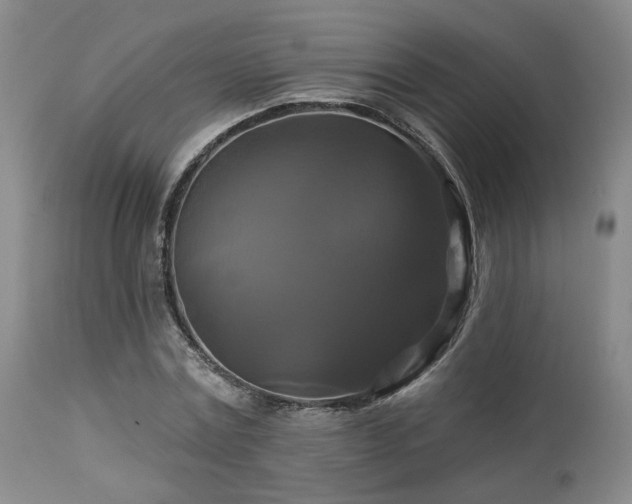 X0000113050779200908271530