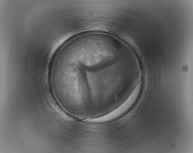 X0000113050780200908271530