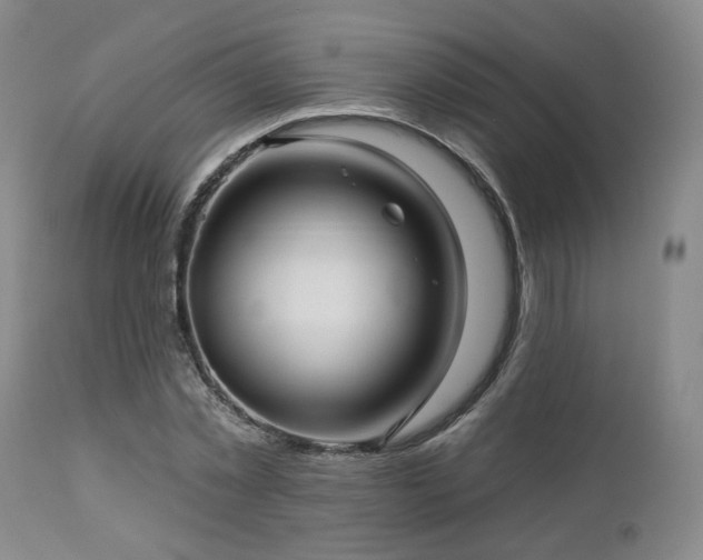 X0000113050781200908271530