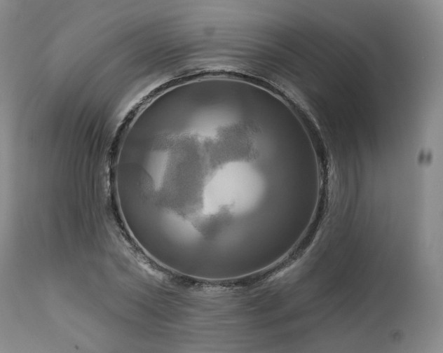 X0000113050782200908271530