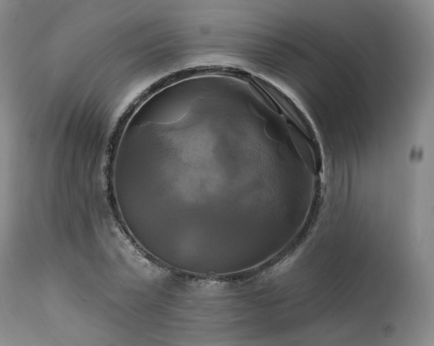 X0000113050783200908271530