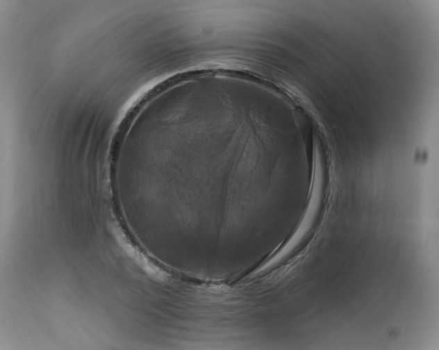 X0000113050784200908271530