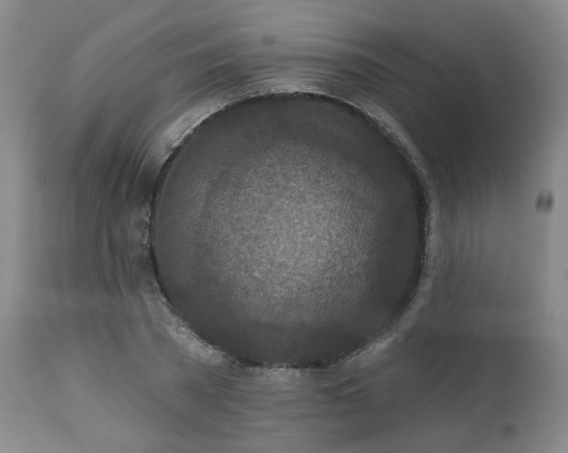 X0000113050785200908271530