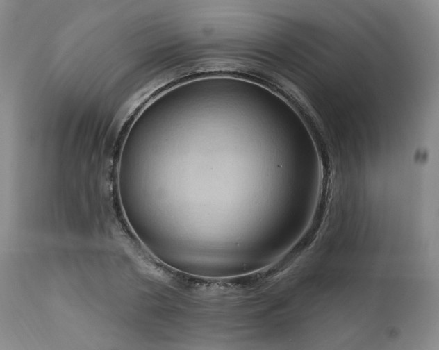 X0000113050786200908271530
