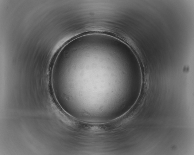 X0000113050787200908271530