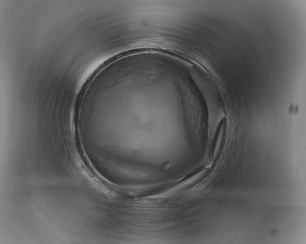 X0000113050788200908271530