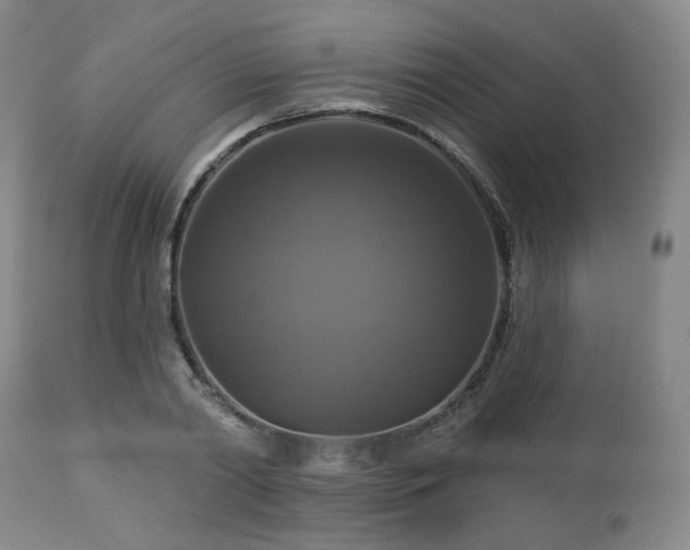 X0000113050790200908271530