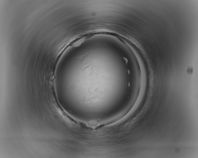 X0000113050793200908271530