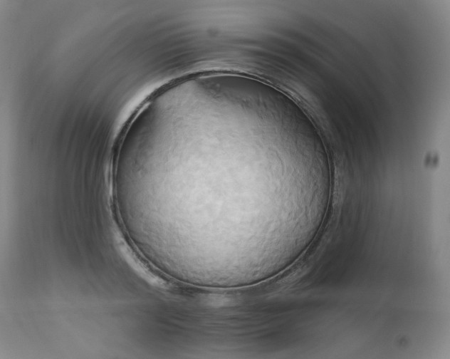X0000113050796200908271530