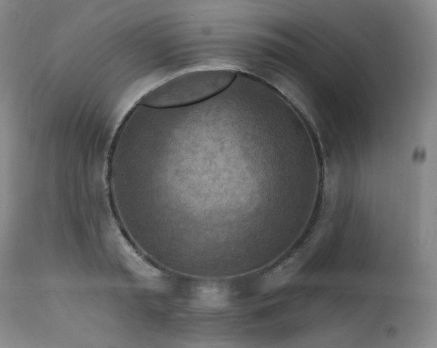 X0000113050797200908271530
