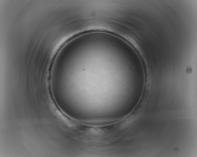 X0000113050799200908271530
