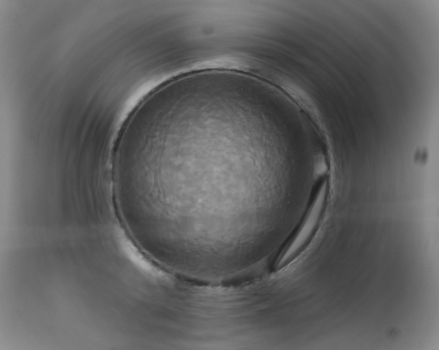 X0000113050800200908271530