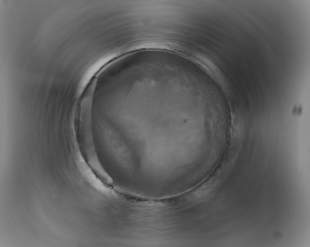 X0000113050804200908271529