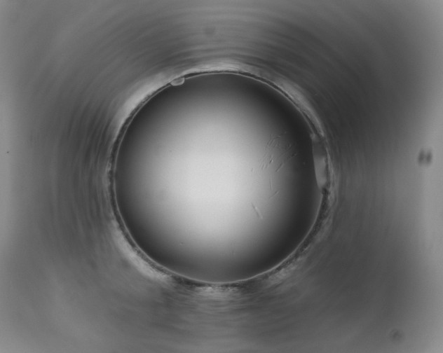 X0000113050805200908271529