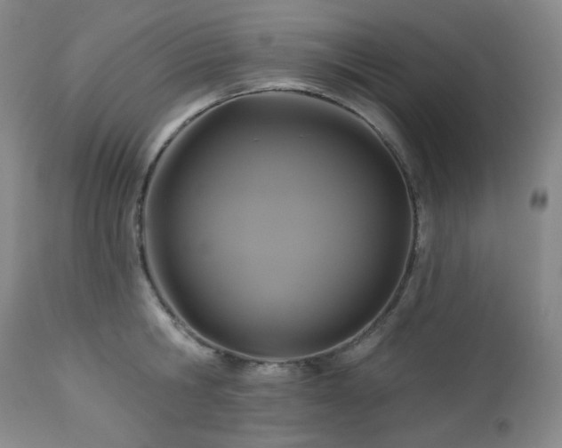 X0000113050806200908271529