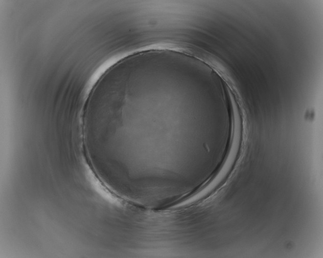 X0000113050808200908271529