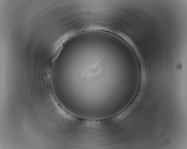 X0000113050809200908271529