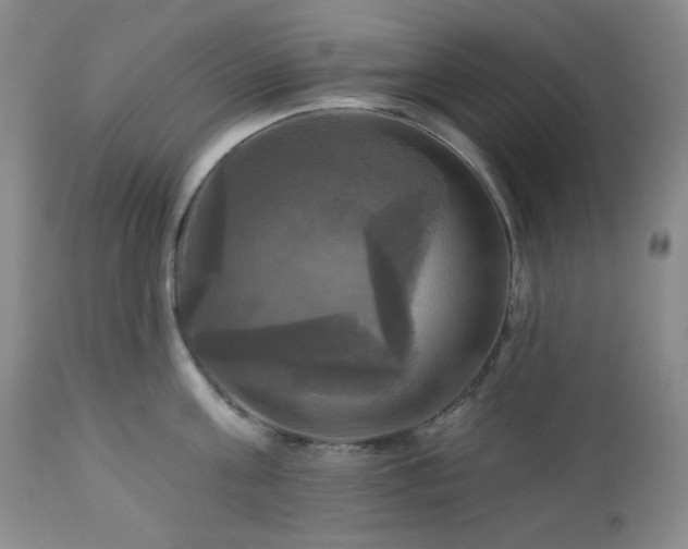 X0000113050811200908271529