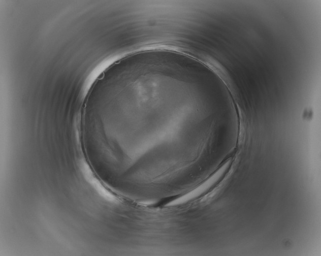 X0000113050812200908271529