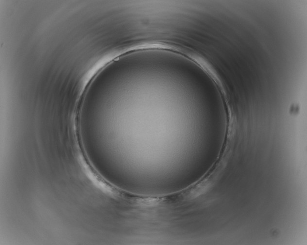 X0000113050813200908271529